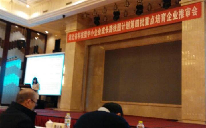 热烈庆祝我公司顺利入选湖北省第四批重点科技培育企业